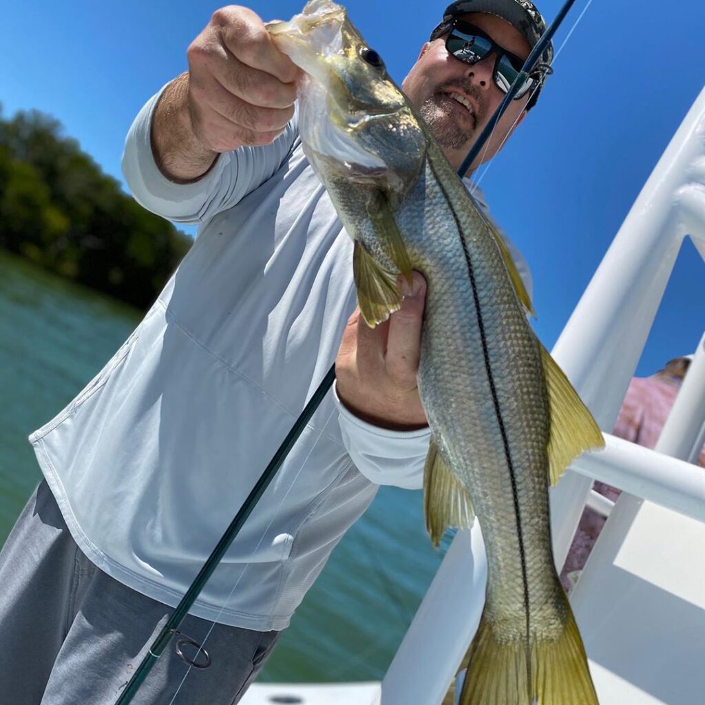 Snook caught on inshore charter with Captain Matt Luttmann.