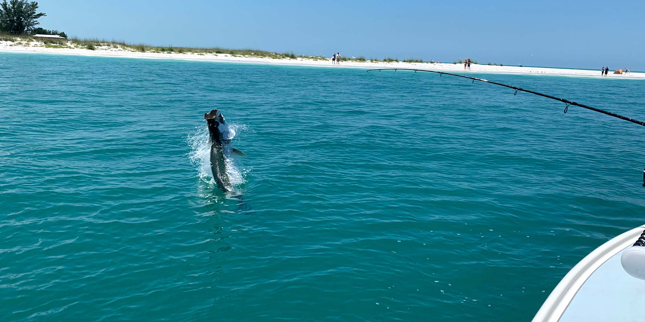 Fighting a tarpon can be a thrilling summer experience on Florida's coastline.