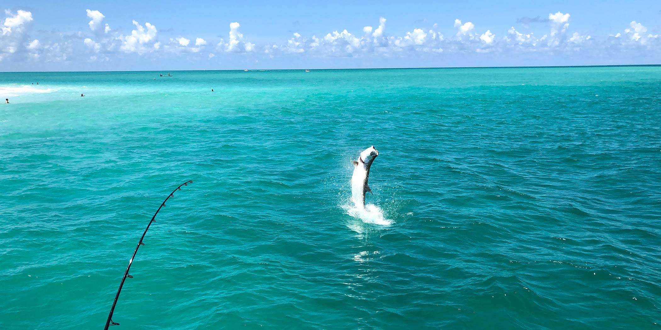 Jumping Tarpon on Charter with InshoreAction Summer tarpon fishing can include some thrilling acrobatics on the part of the fish!